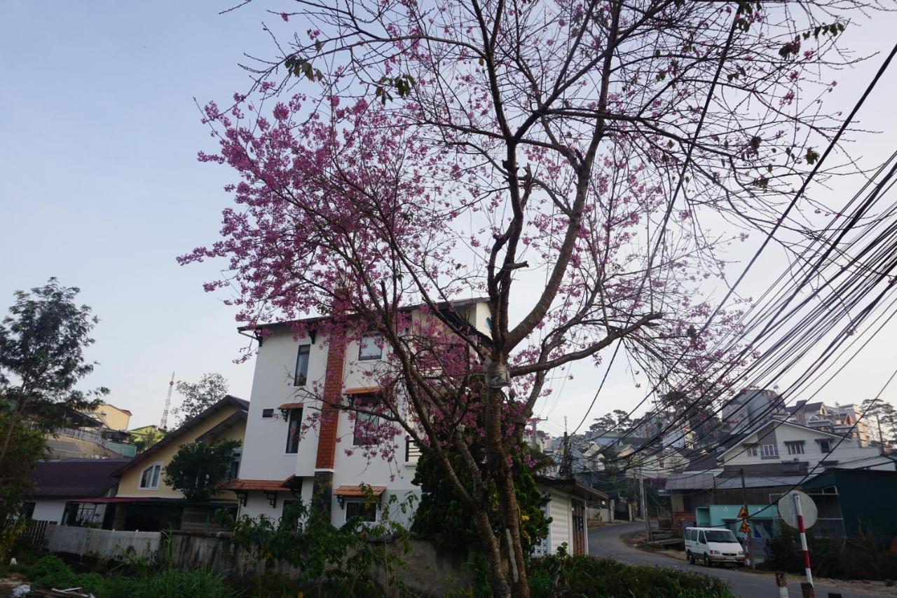 The 1954 House Villa Da Lat Kültér fotó